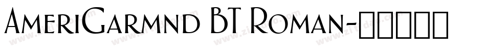 AmeriGarmnd BT Roman字体转换